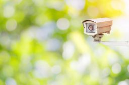 CCTV for the yard