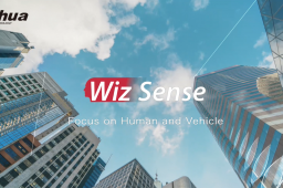 Dahua wizSense