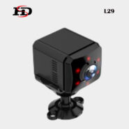 L29